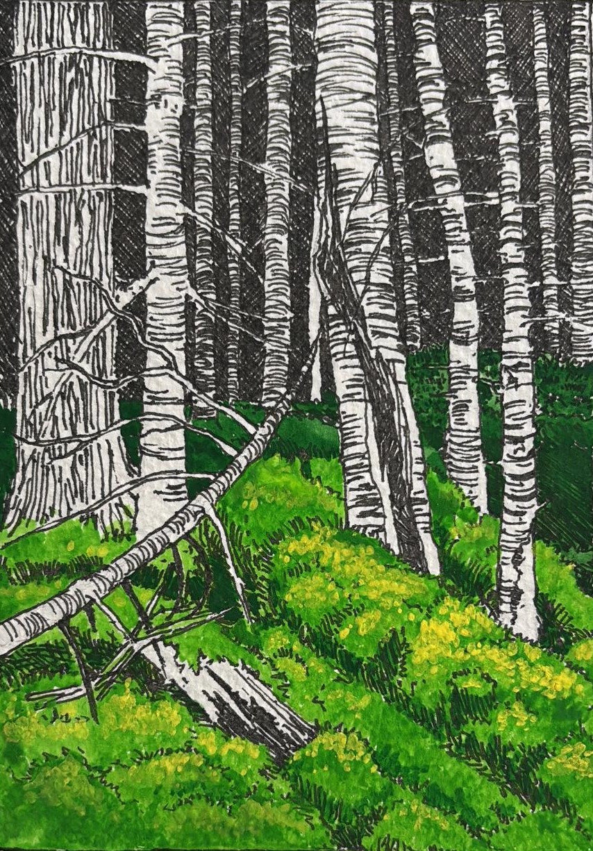 Forest, Oil postcard, 2025